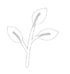 white transparent background